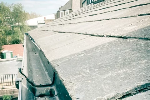 Why Should You Clean Gutters in Autumn and Spring ?